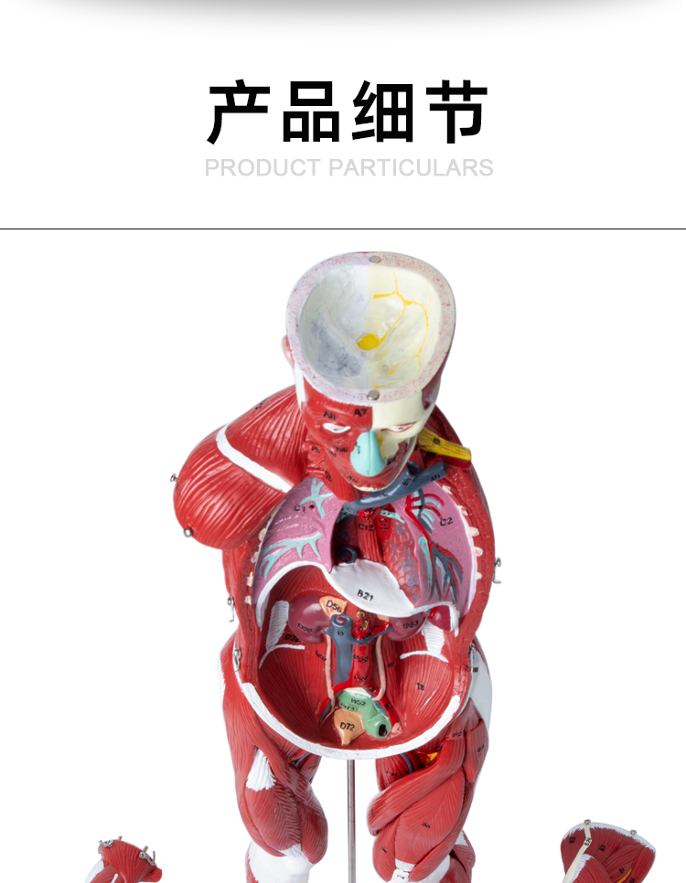 详情_07.png