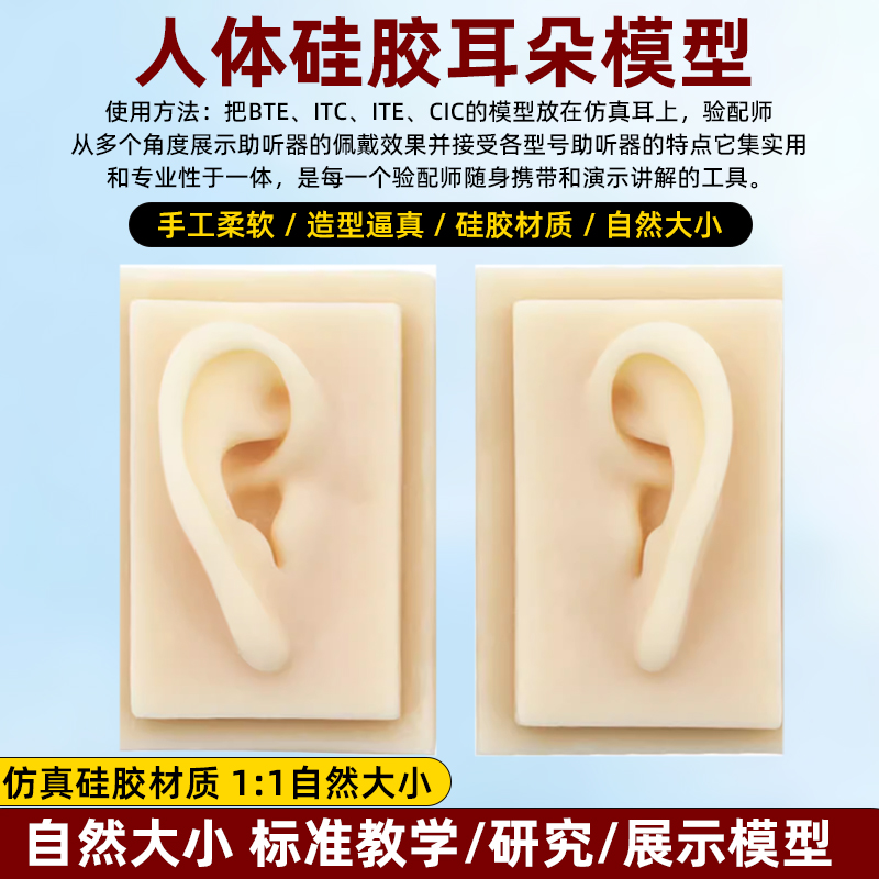硅胶耳朵模型仿真耳微整形