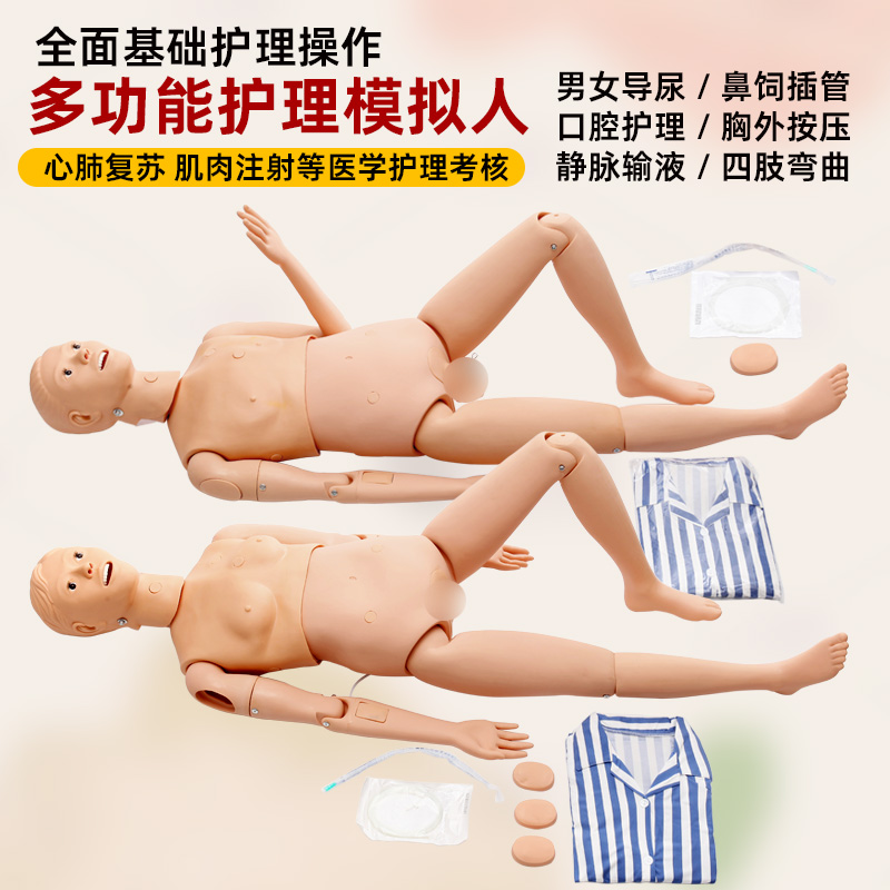 政河多功能护理人模型男女