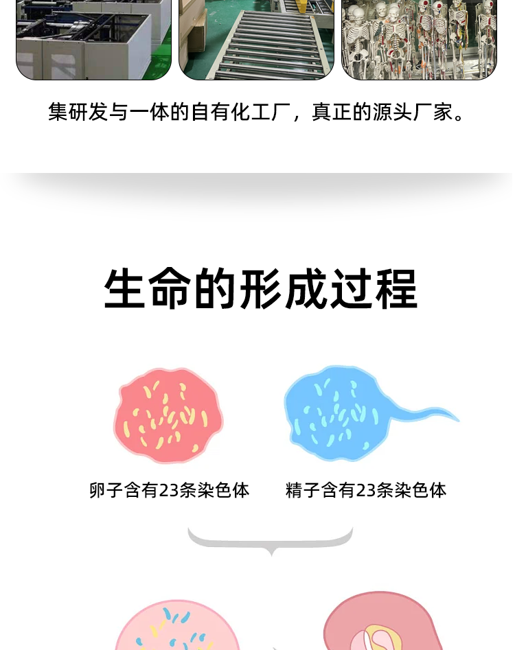 详情_06.png