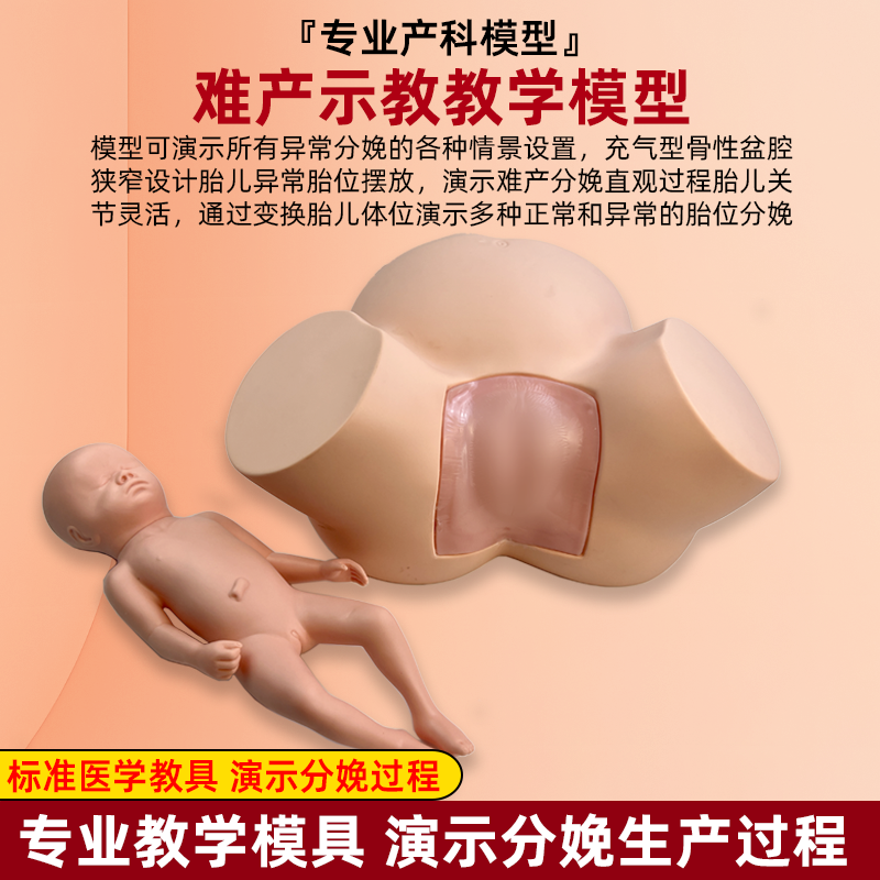 分娩示教模型高级难产示教