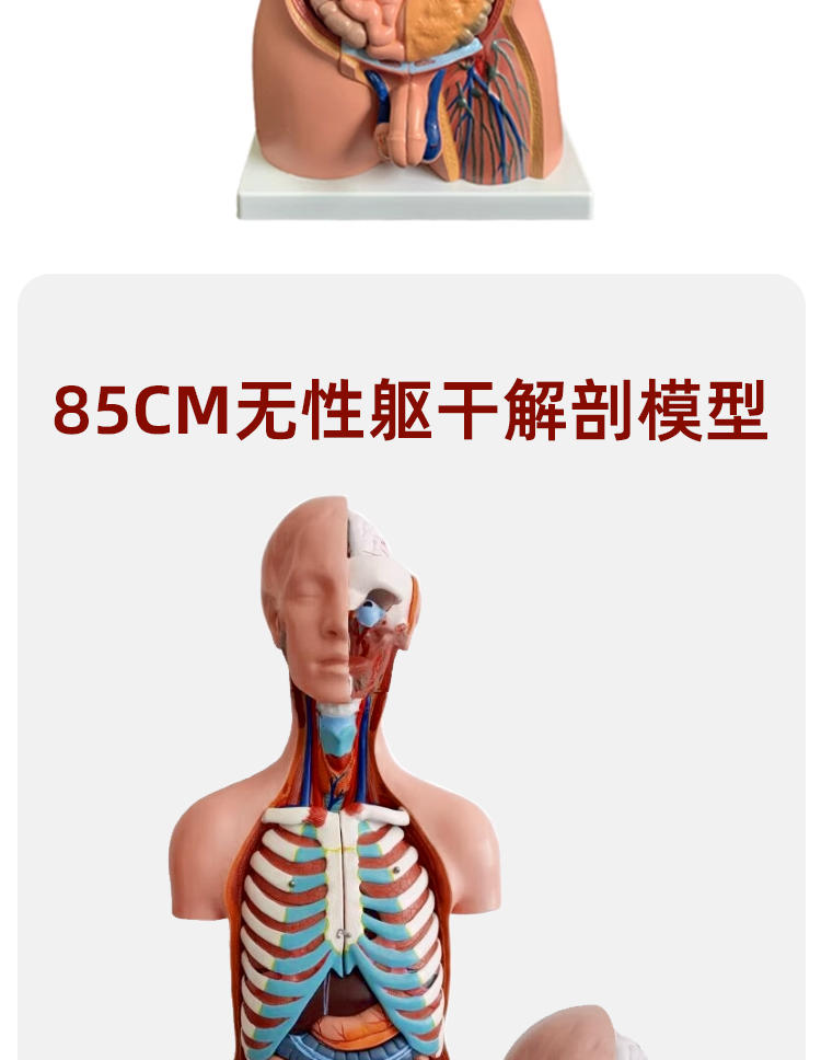 详情_15.png