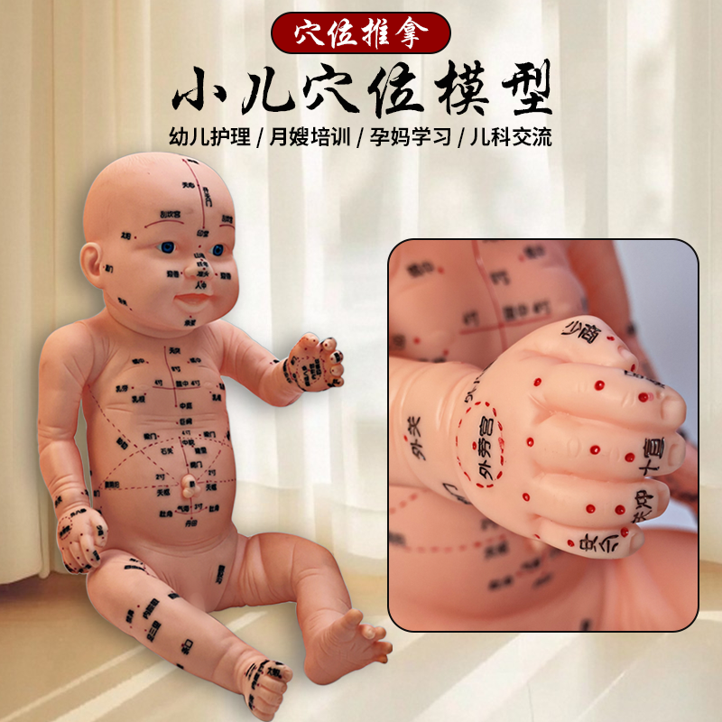 全身穴位娃娃经络图中医小